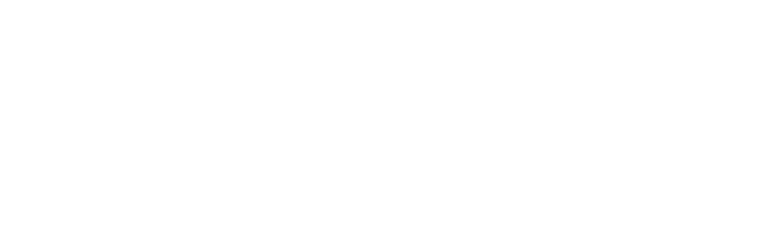 Website Logo w
